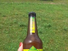 Ice Tea IPA- Browar Zamkowy Cieszyn