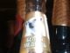 Biały niedźwiedź