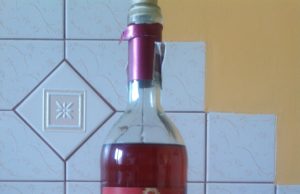 Oak View California Rose