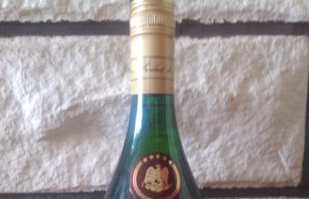 Napoleon Charles De Navarra