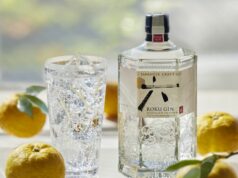 Gin – co to jest i jak powstaje? Jak wybrać odpowiedni gin dla siebie? Roku Gin