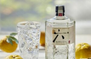 Gin – co to jest i jak powstaje? Jak wybrać odpowiedni gin dla siebie? Roku Gin