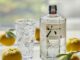 Gin – co to jest i jak powstaje? Jak wybrać odpowiedni gin dla siebie? Roku Gin