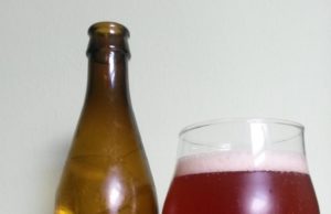 Lemon Tree Citrus Ale