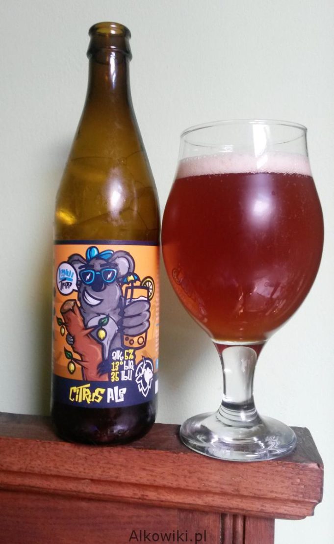 citus-ale-dear-bear-2