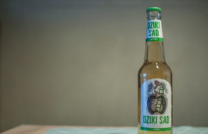 cydr dziki sad