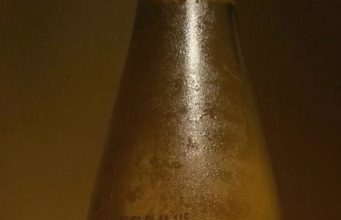 Cydrówka Polska Cydrówka Polska