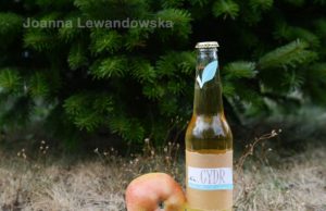 Jak zrobić domowy cydr – prosty i sprawdzony przepis domowy cydr przepis