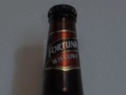 Fortuna Wiśniowa