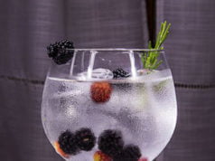 Z czym pić gin, czyli 7 propozycji na drinki z ginem gin z tonikiem, drinki z tonikiem