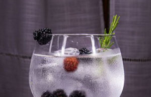 Z czym pić gin, czyli 7 propozycji na drinki z ginem gin z tonikiem, drinki z tonikiem