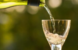 Pinot Grigio – najlepsze wina i poradnik dla miłośników win białych