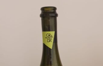 Prosecco Villa Granda Treviso Frizzante prosecco-villa granda-frizzante