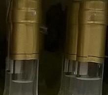 Parzenica Cytrynowa Po Górlasku