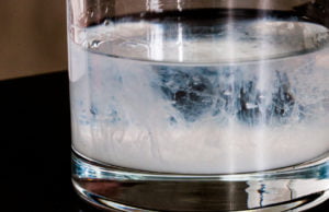 Sperma Barmana sperma-barmana