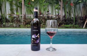 wino ludisia sababay